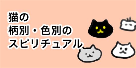 猫が横切る ジンクス|白い猫が横切る時のジンクスって？恋愛や金運に良い。